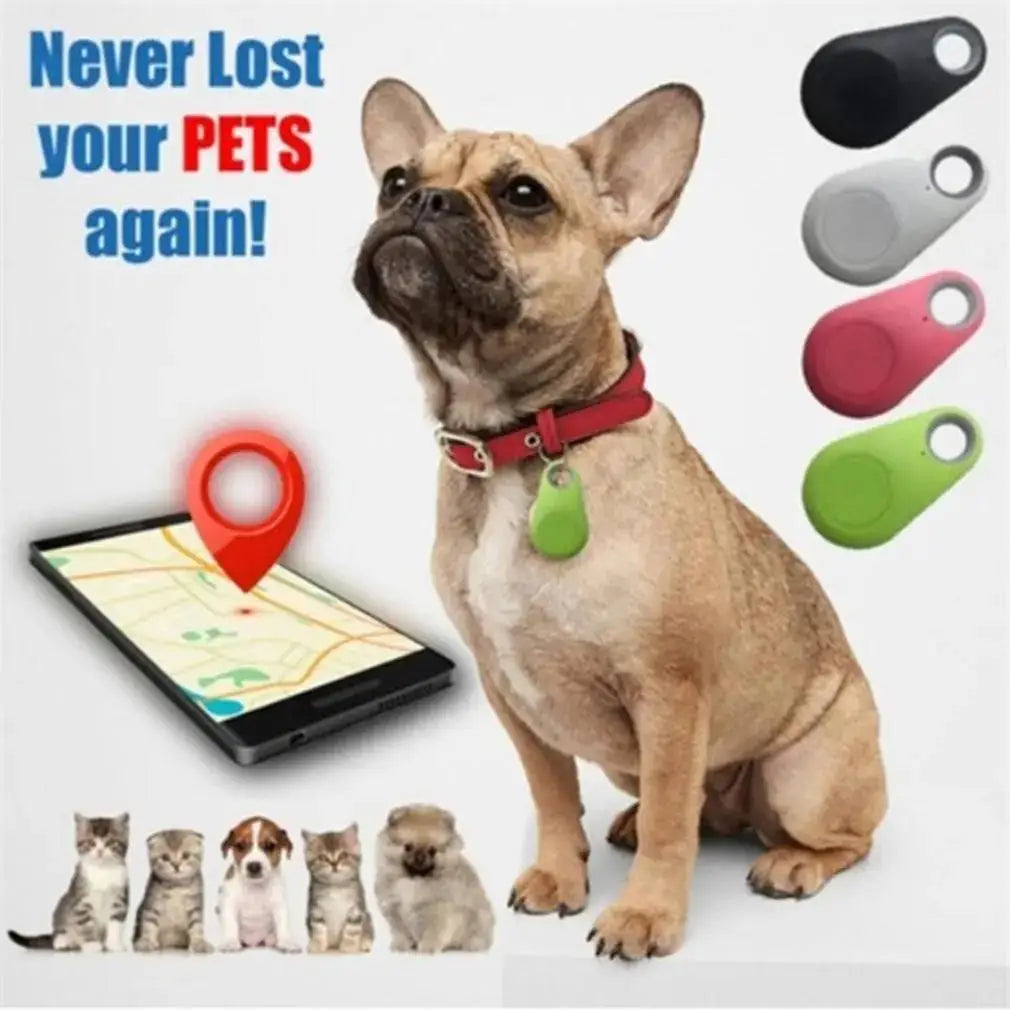 Mini Bluetooth GPS pet tracker on dog collar for real-time location, anti-lost smart tag available in multiple colors.