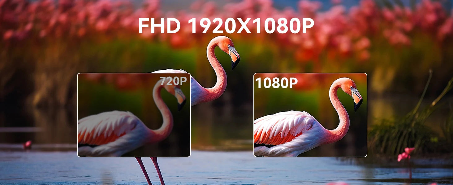 AHXJKA 23.8Inch 120Hz Portable Touch Monitor FHD 16:9 IPS Non-Touch Optional External Second Screen for Xbox PS4/5 Switch Phone