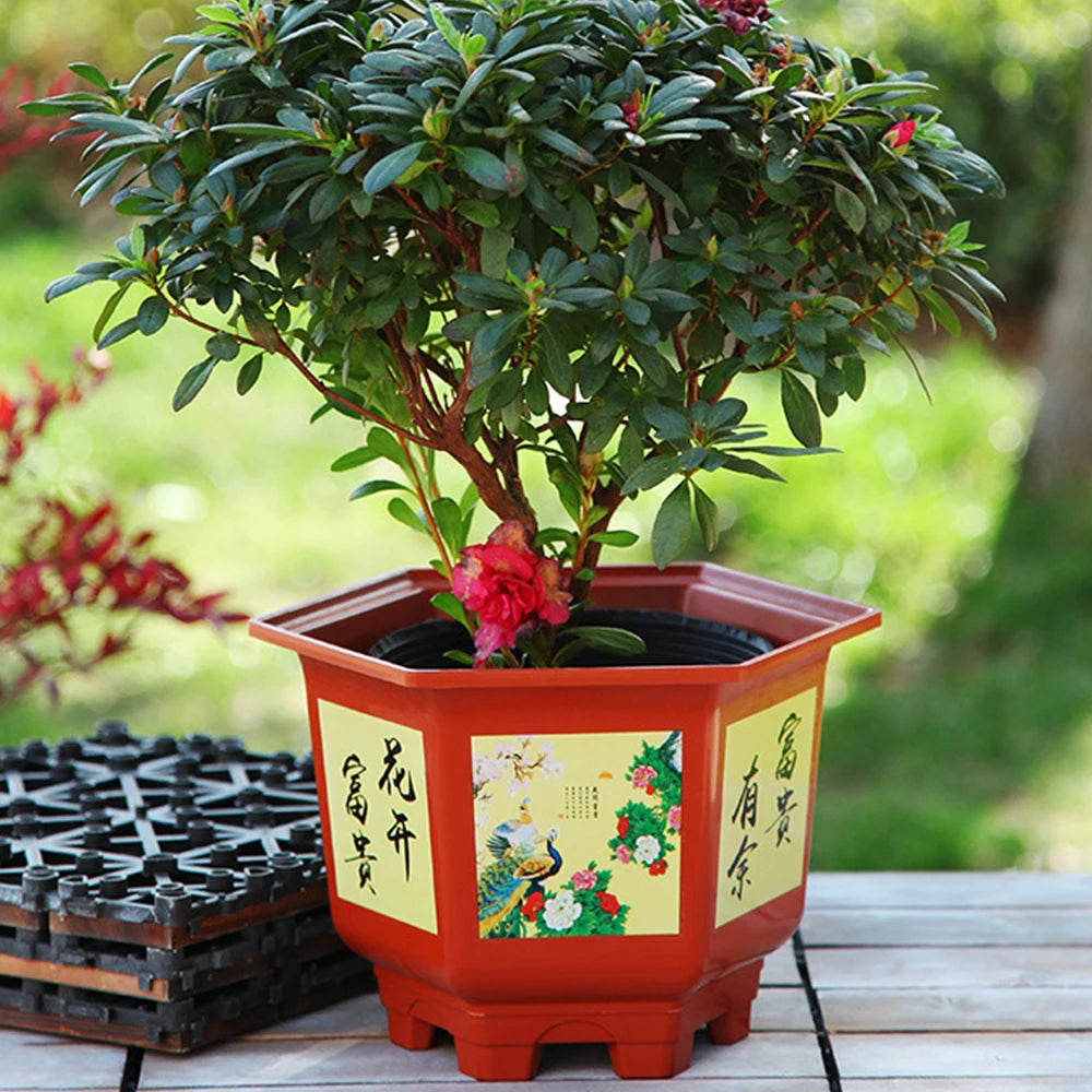 Red resin flower pot with illustrated panels holding a bonsai tree with red blossoms.