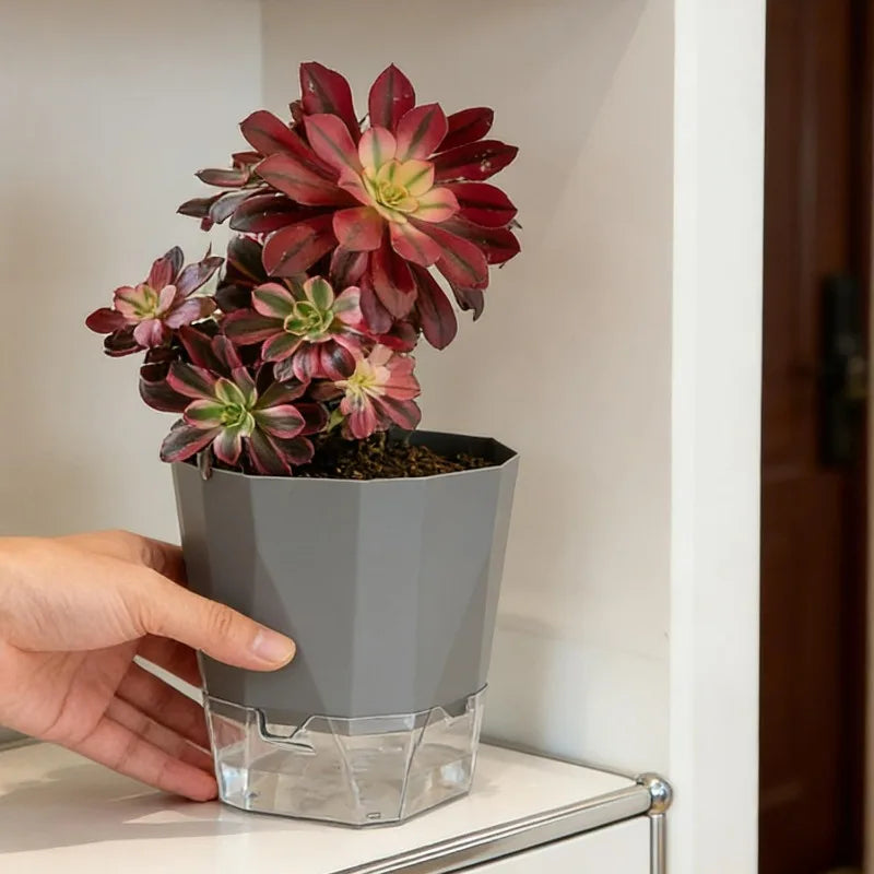 Self Watering Plants Pots Lazy Hydroponic Flower Preventing Drought Flowerpot with Injection Hole Indoor Outdoor Garden Supplies