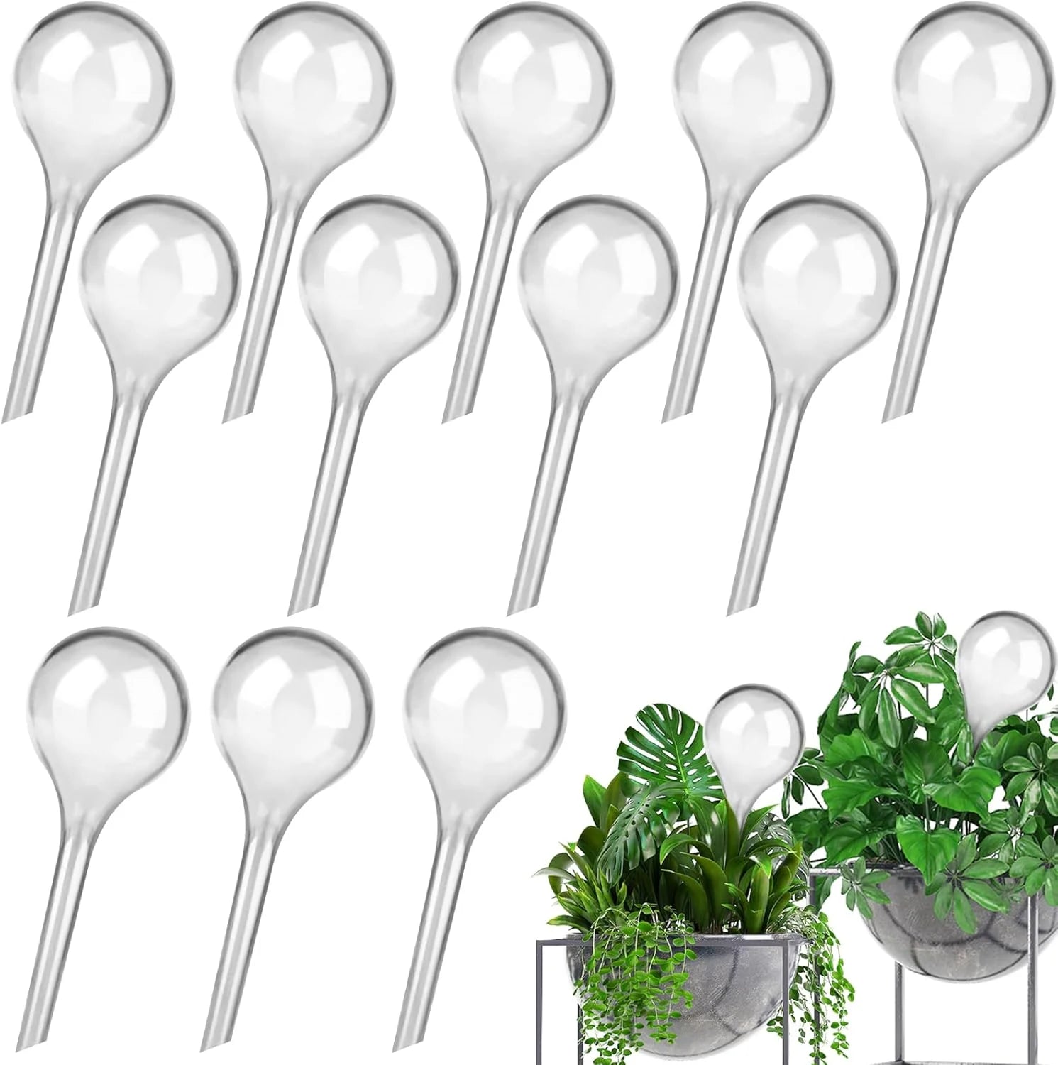 Set of transparent self-watering plant bulbs with long insertion stems (12 pack)