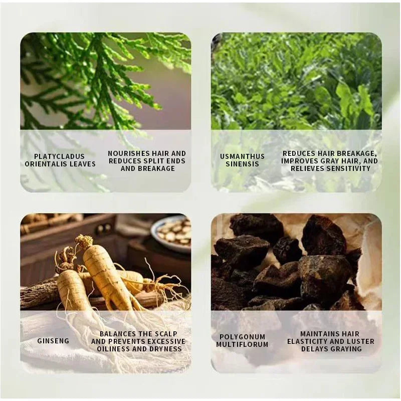 Oriental Arborvitae Leaf Shampoo Soap Relieves Scalp Itching Strengthens Hair Root Oil Control Anti-dandruff New Natural Shampoo