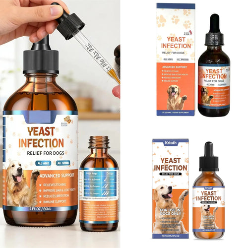 Dog yeast supplement drops bottle with dropper and boxed label for dietary support