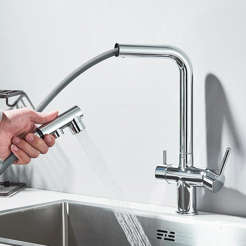 Black Water Purifier Kitchen Faucet 2 In 1 Pull Out Flexible Hot and Cold Water Mixer Tap with Filter Nozzle Faucets