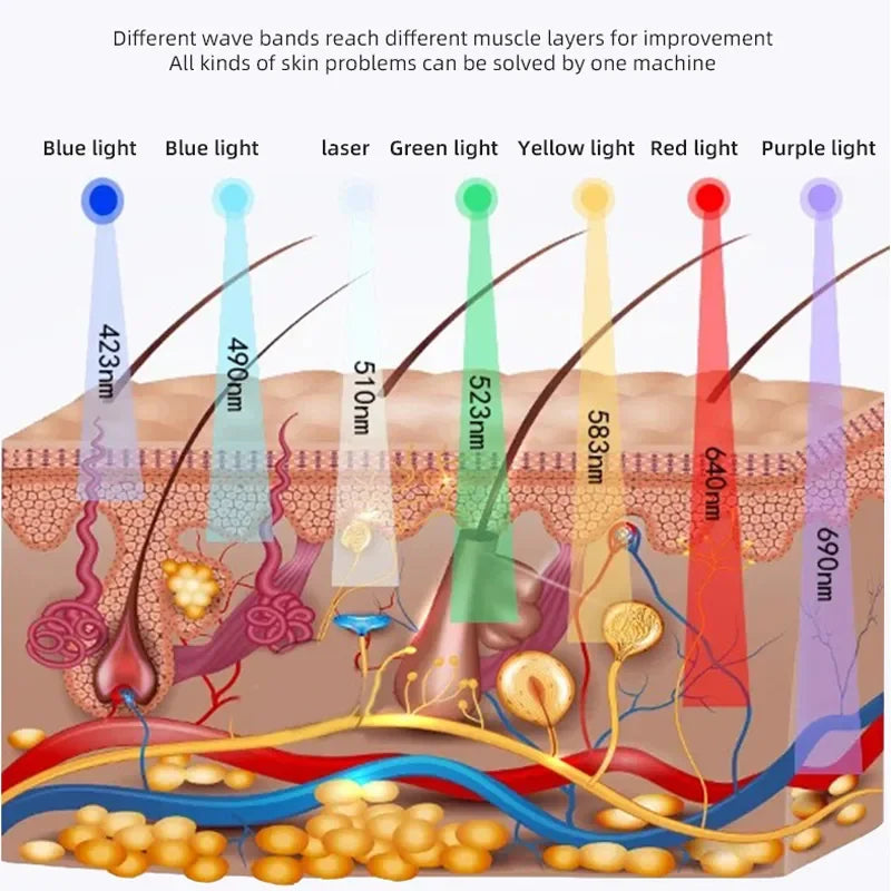 An anatomical skin cross-section diagram showing how seven different LED light wavelengths penetrate skin layers.