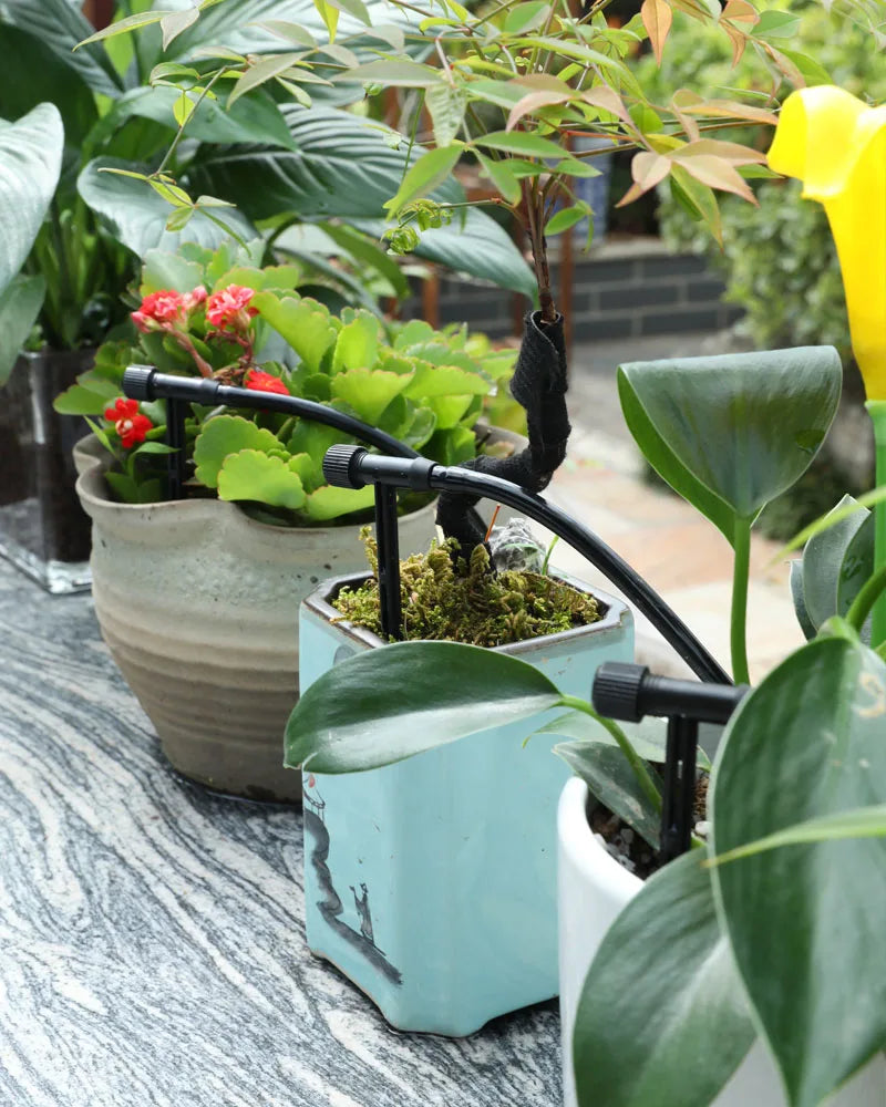 Garden Black Adjustable valve Drip Irrigation Kit Potted Plant Watering Device 4/7mmHose Watering Saving MicroDripper Greenhouse