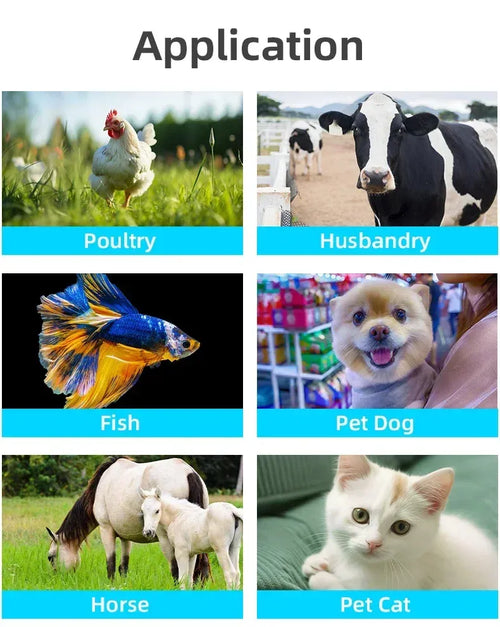 Pet microchip scanner application chart for poultry, husbandry, fish, pet dog, horse, pet cat