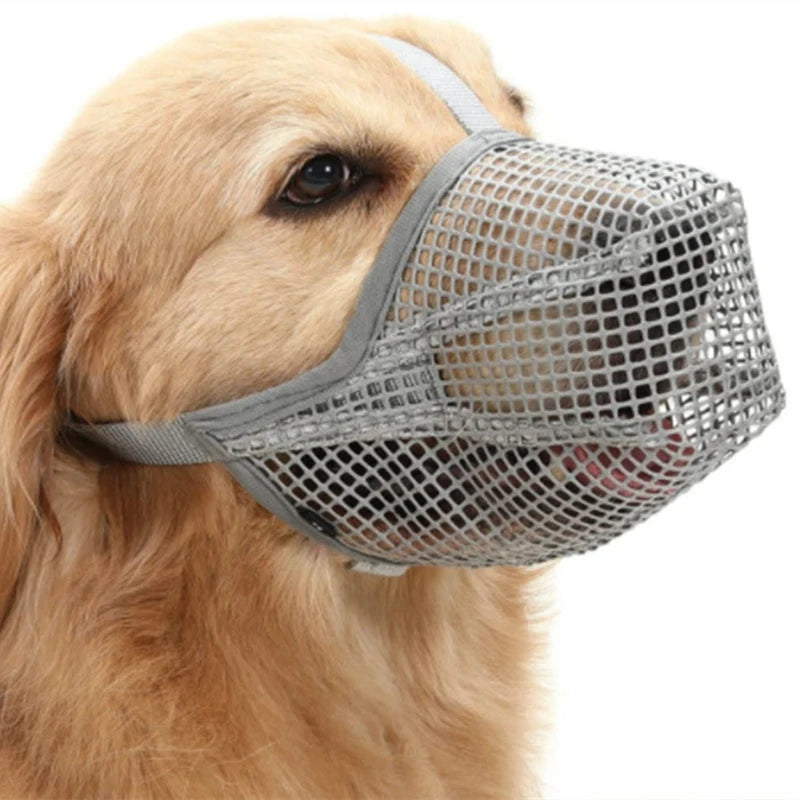 Adjustable grey mesh dog muzzle for anti-bite training, breathable design for safe drinking and licking control.