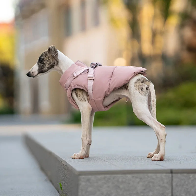 Dog wearing a warm, pink padded winter coat with integrated harness for comfortable, cozy outdoor walks in cold weather.