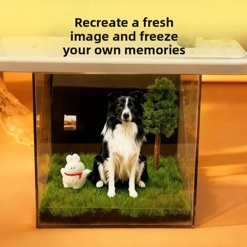 Acrylic pet projection display box with glass sides, grass base, dog and toy figure