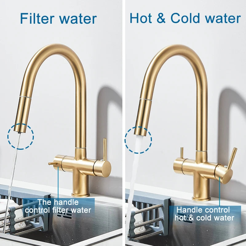 Pure Water Filter Kitchen Faucet Pull Out Flexible Kitchen Faucets Dual Handle Stainless Steel 2 in 1 Hot Cold Water Mixer Tap