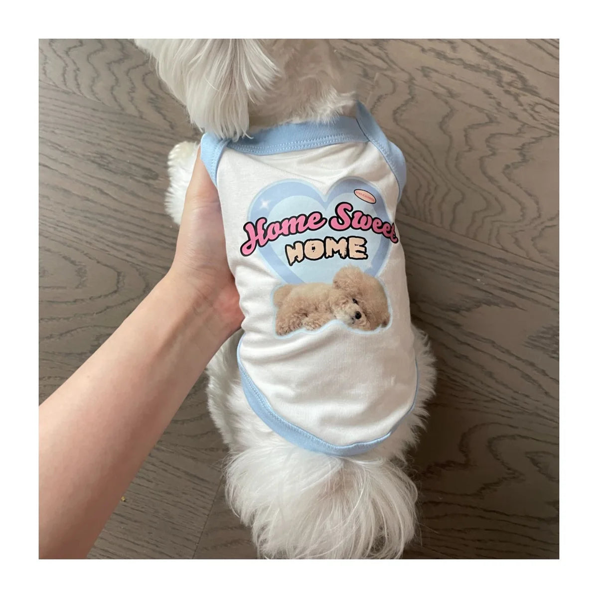 Cute blue and white spring dog vest for small pets with Home Sweet Home print for comfortable daily wear.