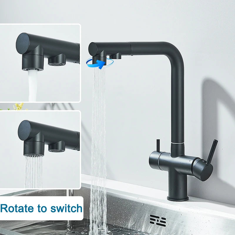 Black Water Purifier Kitchen Faucet 2 In 1 Pull Out Flexible Hot and Cold Water Mixer Tap with Filter Nozzle Faucets