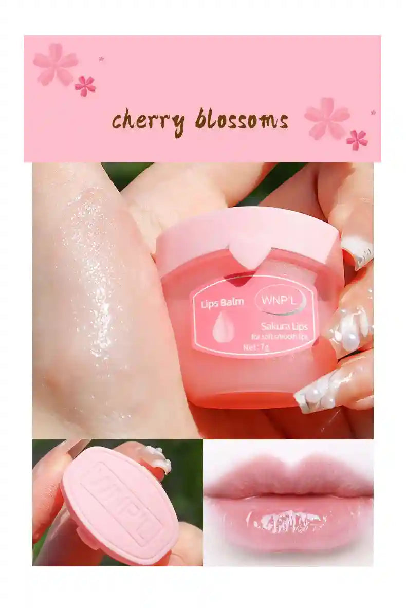 Moisturizing Lip Balm Set - Natural Plant-Based Lip Care (4-8pcs) Lip Care Tidesmit