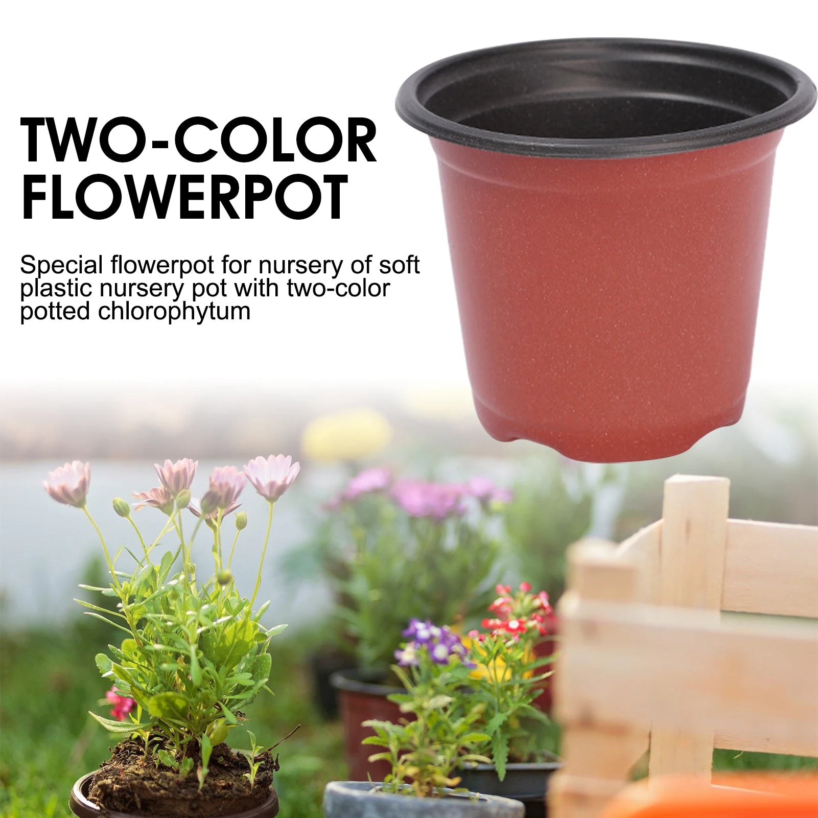 Red plastic nursery pot with black rim, open top for seed starting and seedlings