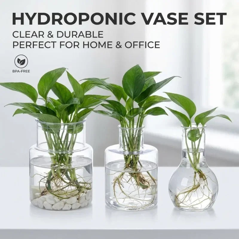 Hydroponic vase set with three clear vases and leafy green plant cuttings