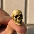 Miniature 1:12 scale faux human skull model for reptile aquarium decor, spooky terrarium accent or dollhouse display.