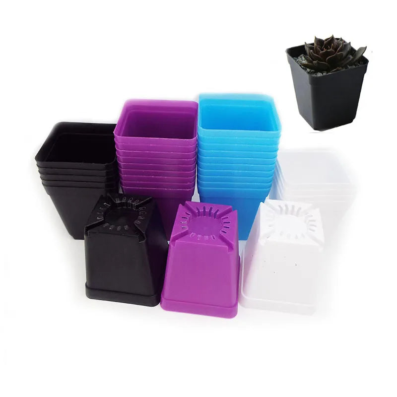 Small square plastic mini pots for succulents in black, purple, blue, and white stacks.