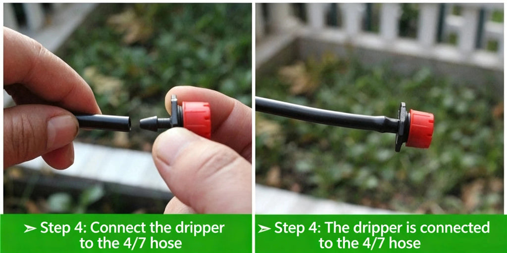 Micro drip irrigation dripper connected to a 4/7 hose with red valve connector