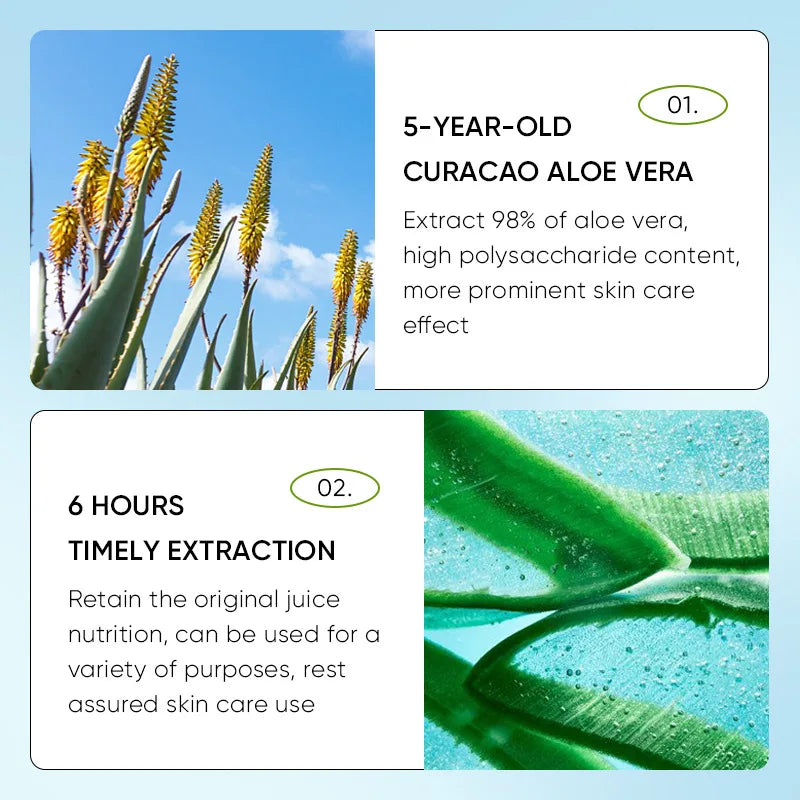 Aloe Vera Lip Balm for Hydrating Dry Lips - Cruelty-Free Lip Care Set Lip Care Tidesmit