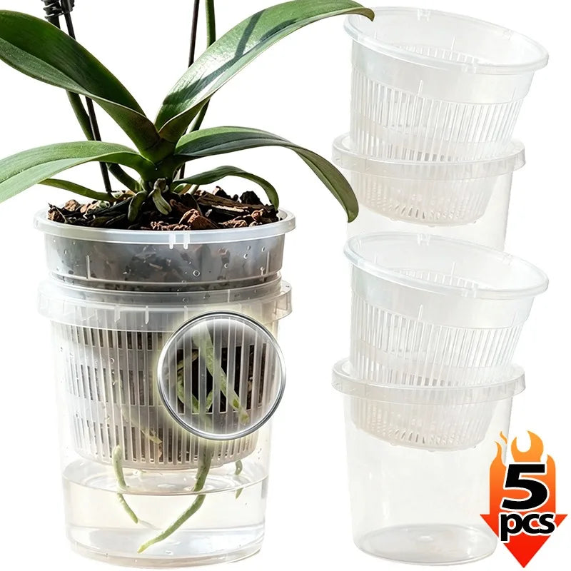 5-pack clear self-watering orchid pots with detachable inner mesh baskets