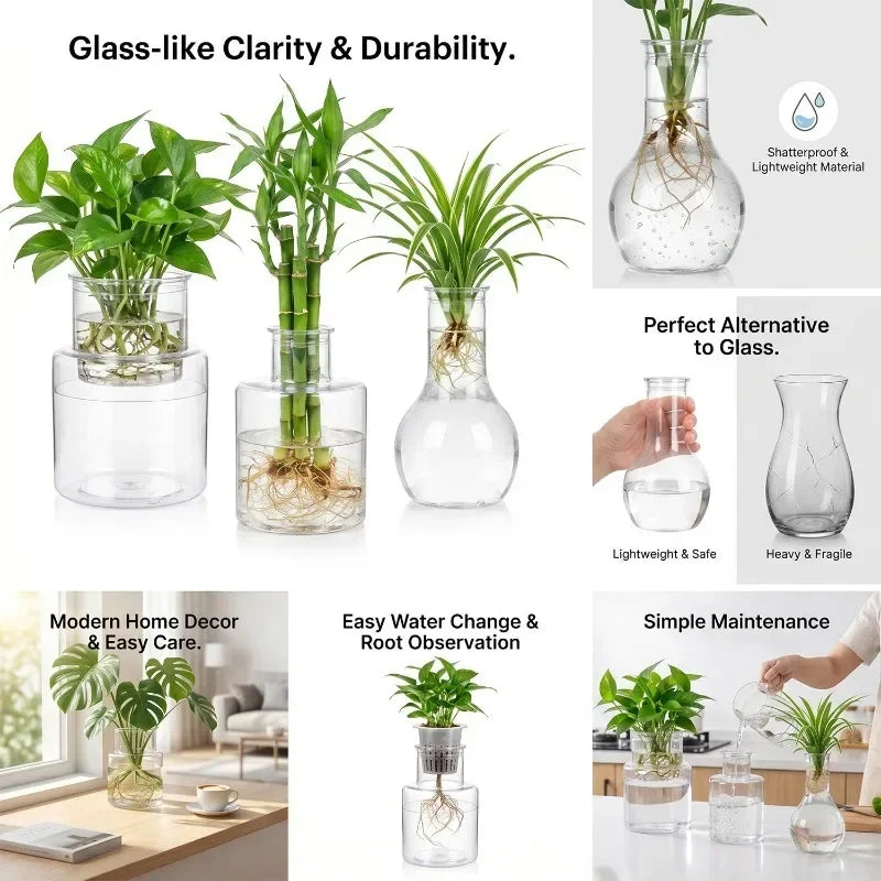 Clear glass hydroponic plant pots set with leafy plants in transparent reservoirs