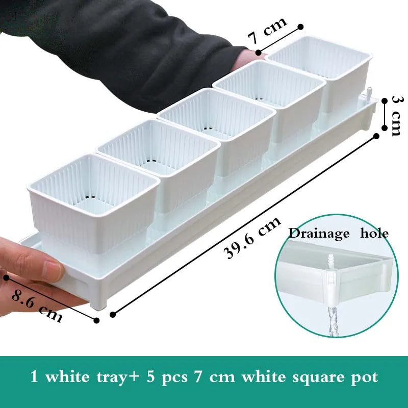 White square pot tray with five white 7 cm square pots and drainage holes