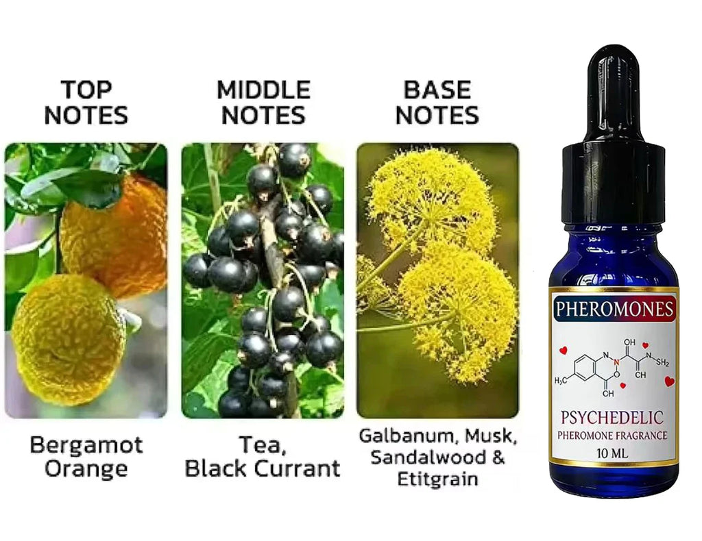 Psychedelic Pheromone Oil for men: blue dropper bottle with bergamot, black currant, and musk notes for attraction.
