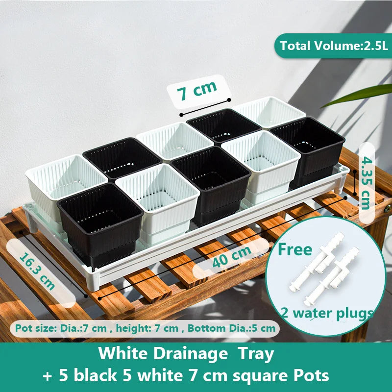 White drainage tray with five black and five white 7 cm square plant pots