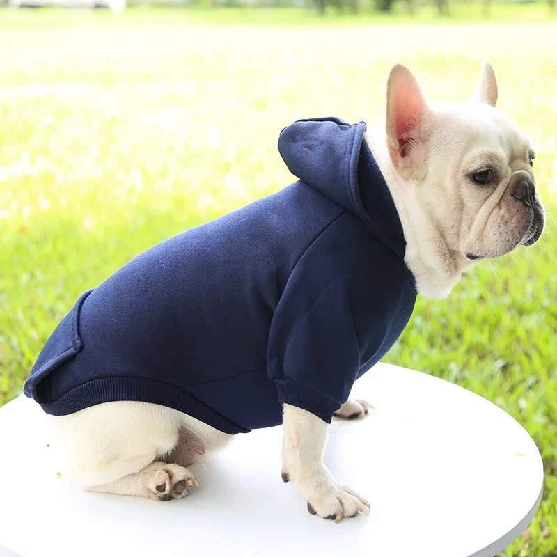 French bulldog wears a warm, thick navy blue hooded sweater, perfect for keeping small dogs cozy in autumn and winter.