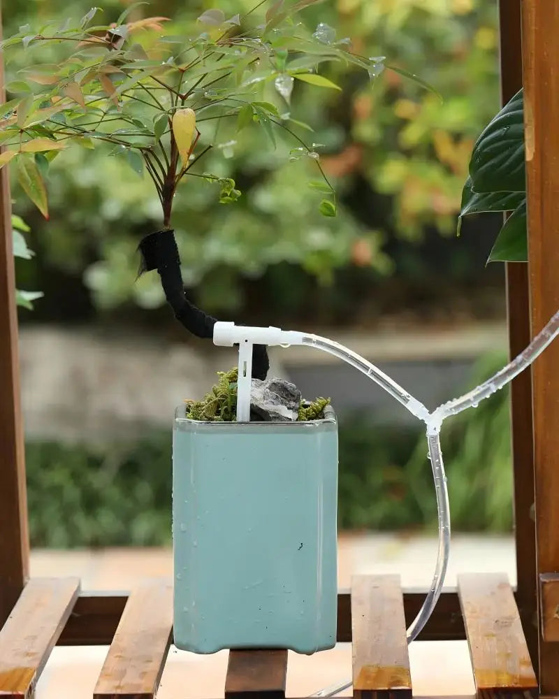 Automatic drip irrigation watering bag with clear tube delivering water to a plant pot