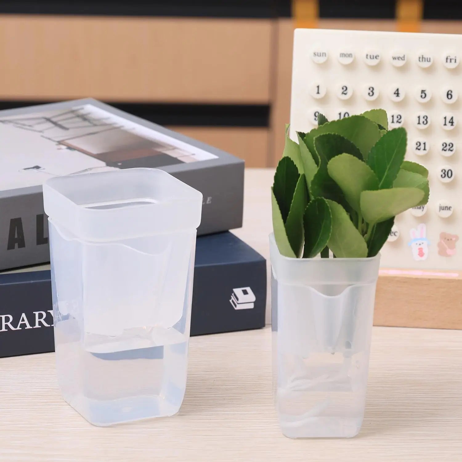 Transparent self-watering seedling planter with wick reservoir holding small green plants