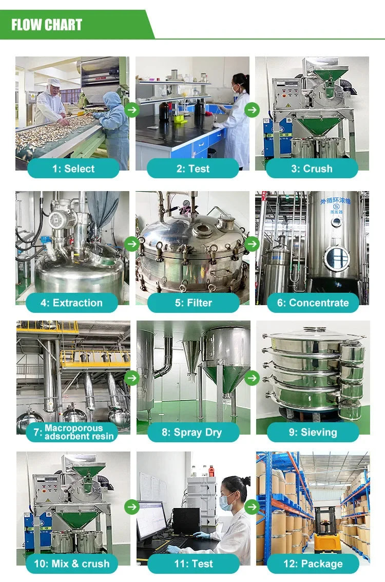 Global Customized 100% Pure For Natural saw palmetto Extract  30:1 Aluminum Foil Bag Packing for Global Distributors