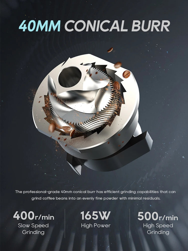 40mm stainless steel conical burr for coffee grinder with 165W high-power motor for professional, precise grinding.
