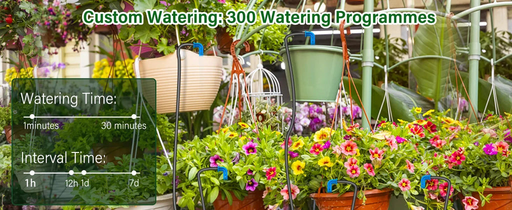 Solar drip irrigation kit with solar panel, tubing, and drippers watering balcony flowers