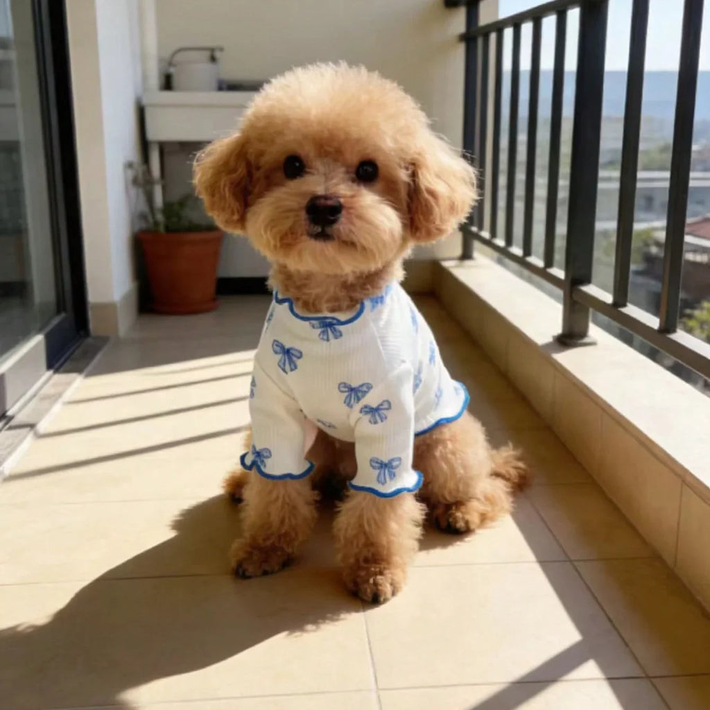 Cute dog in a stretchy, white knit pet shirt with blue bow print for comfortable, breathable everyday wear.