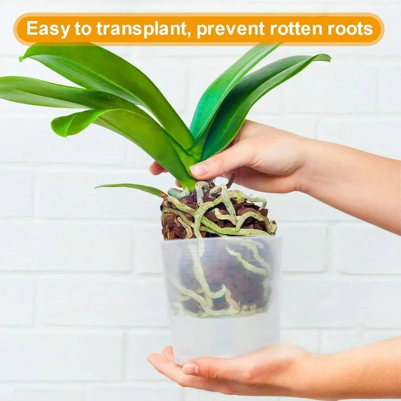 10/50PCS Transparent Seedling Pot Plants Nursery Pot Cups Gardening Transplantation Potted Flowerpot Planter Gardening Tools