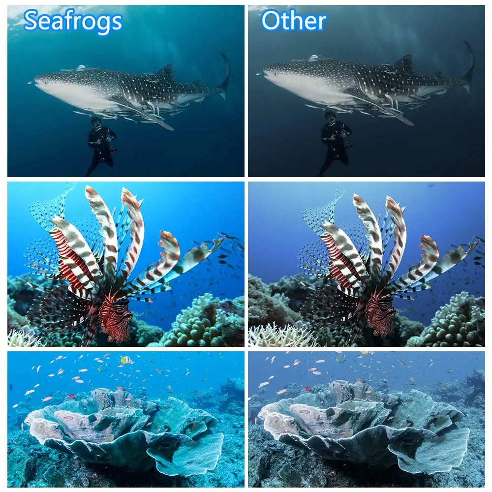 Comparison of underwater photos showing vibrant colors with Seafrogs filters versus dull, grey tones with others.
