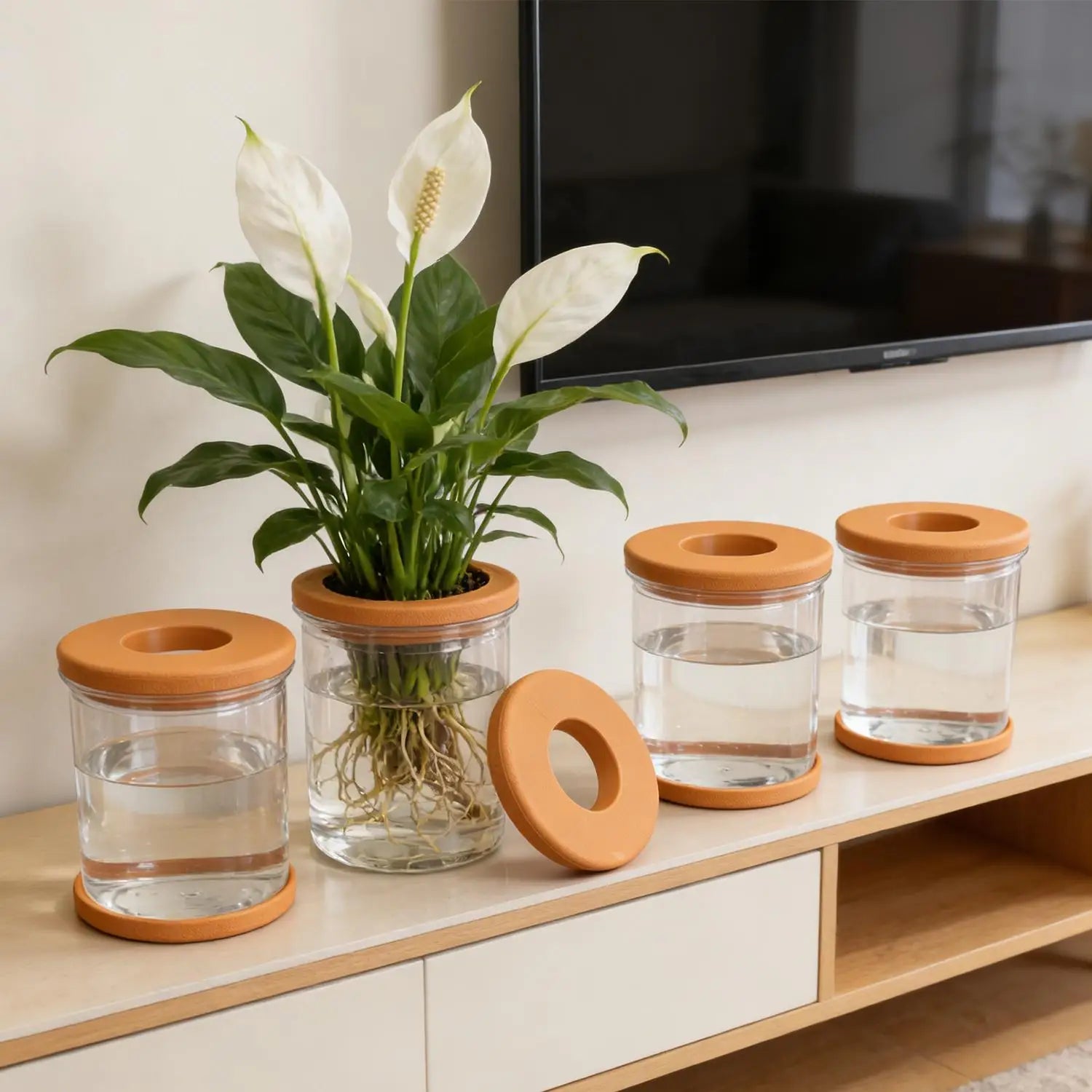 5/1PCS Transparent Hydroponic Flowerpot Hydroponic Plant Container with Soft Stopper Non Slip Bottom Home Office Gardening Pots