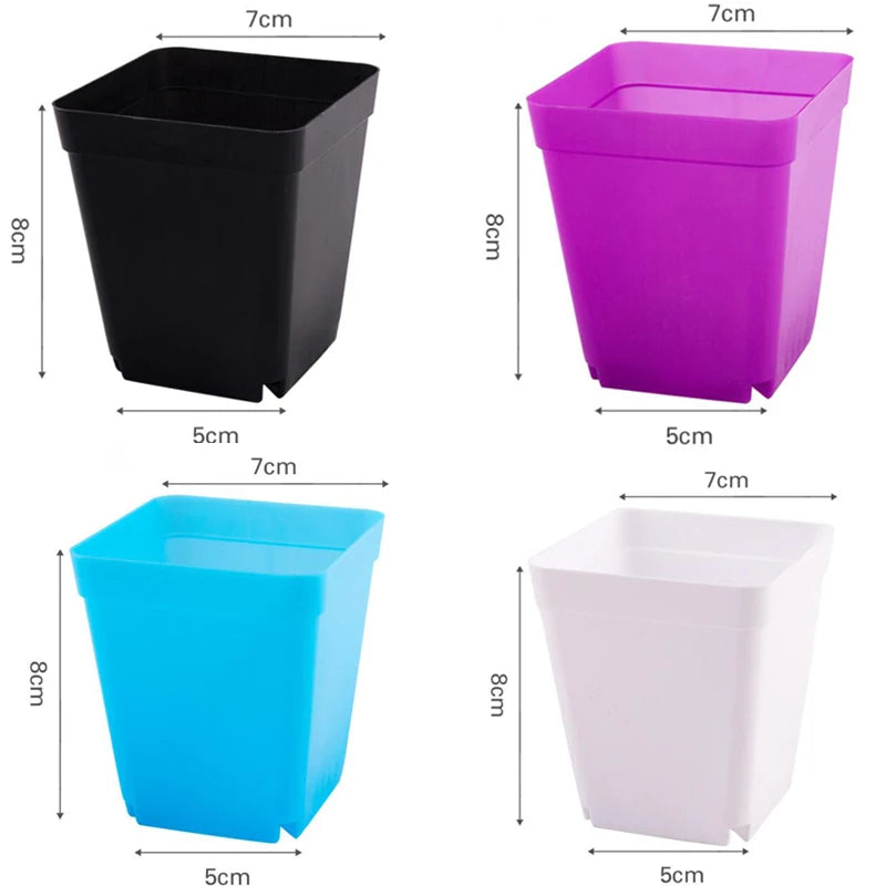 Small square plastic mini pots for succulents shown in black, purple, blue, and white with sizes.