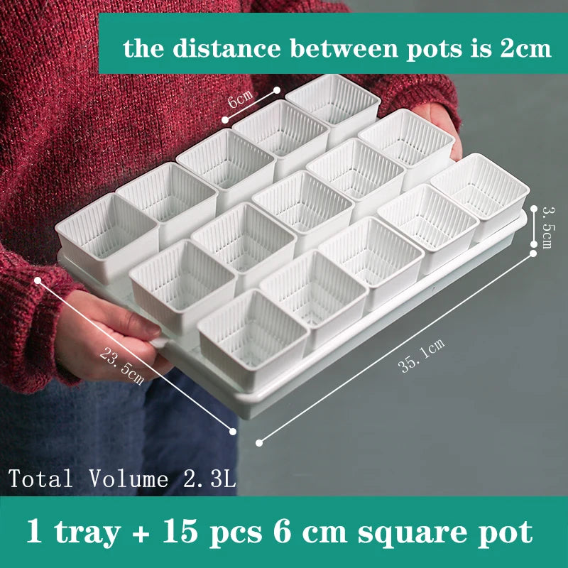 White tray with fifteen 6cm square mesh pots for succulent and cactus seedlings
