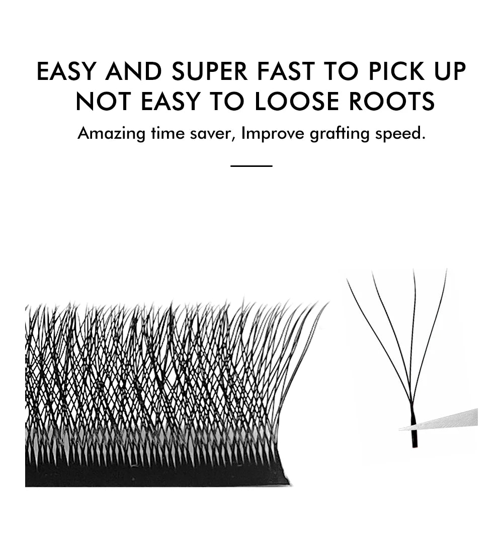 Black W-shaped premade volume lash fans in a tray, with one fan held by tweezers to show easy pickup.