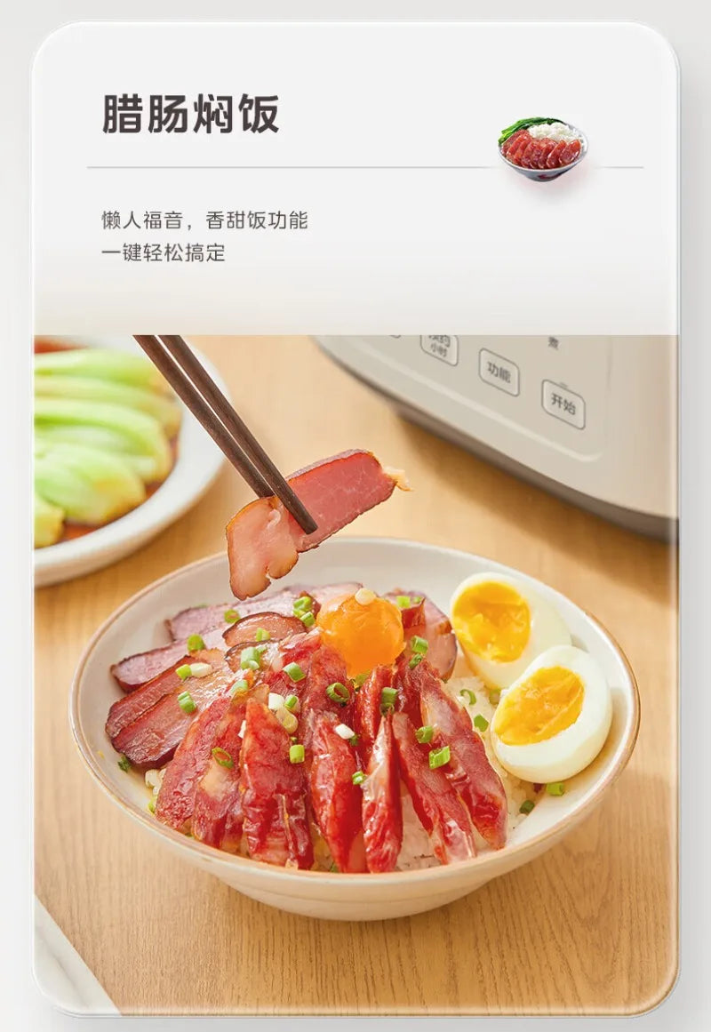 Rice cooker serving bowl of pork rice with egg, chopsticks nearby