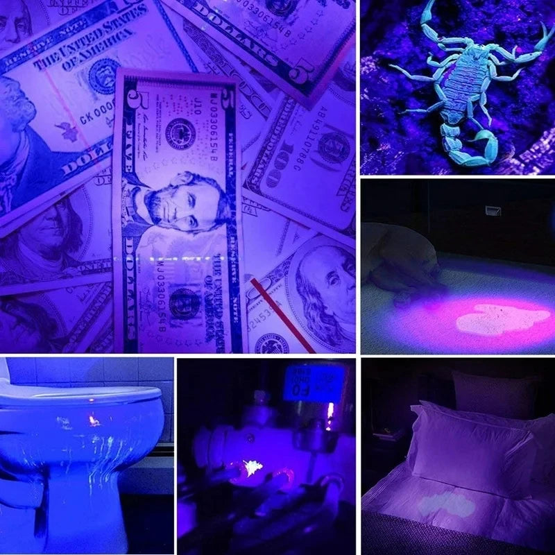 Portable UV flashlight detecting pet urine stains on carpets and beds with purple ultraviolet light.