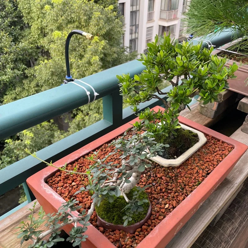 Garden sprinkler hose line watering planters on a balcony