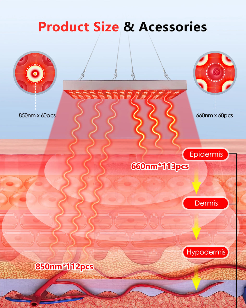 Red light therapy panel diagram showing LED wavelengths penetrating skin layers (epidermis, dermis, hypodermis).