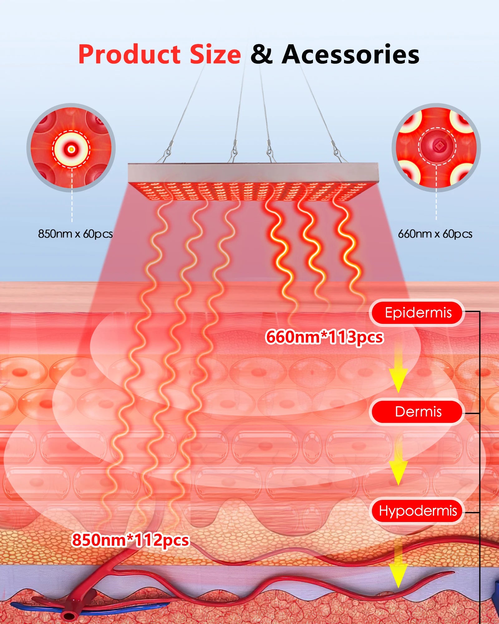 Red light therapy panel diagram showing LED wavelengths penetrating skin layers (epidermis, dermis, hypodermis).