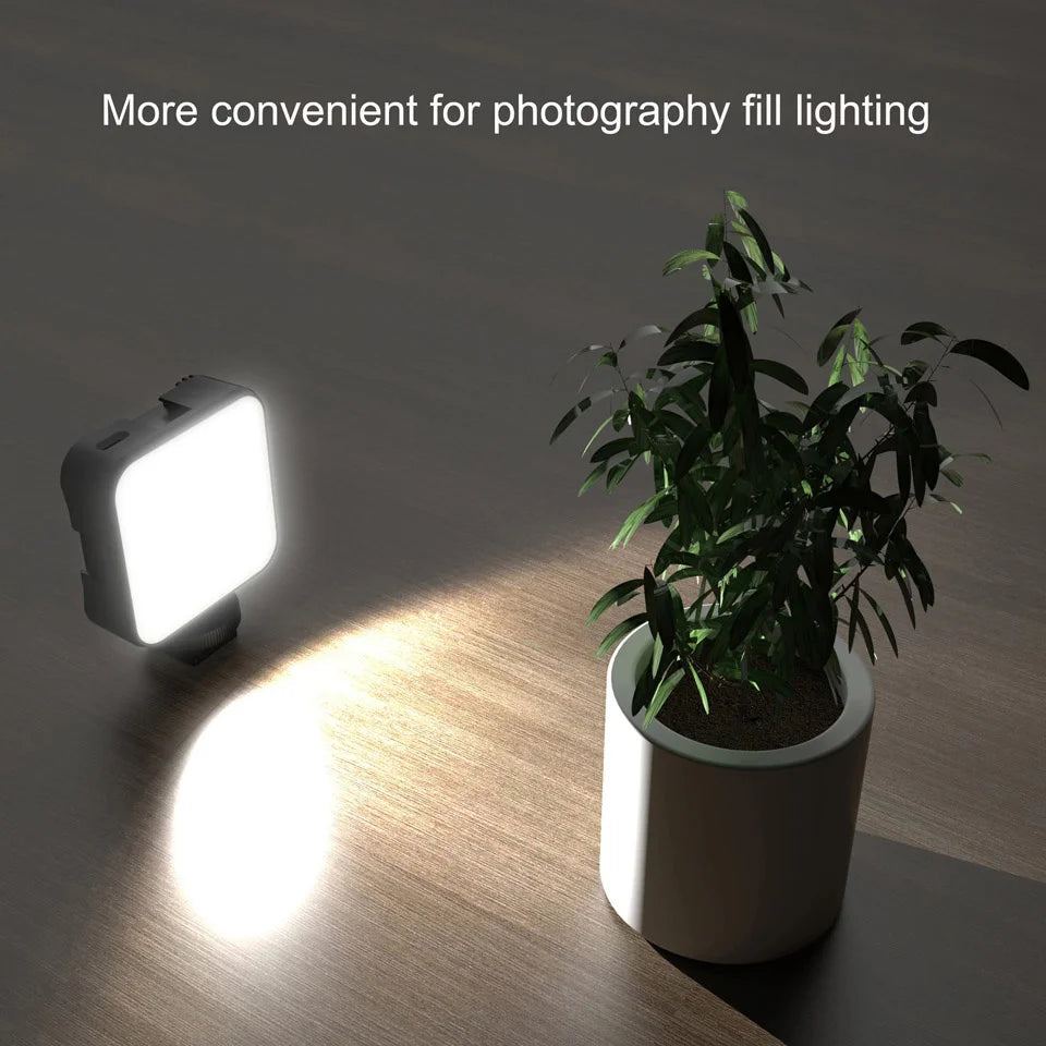 Small square LED video light with a matte black casing, illuminating a potted plant for photography fill lighting.