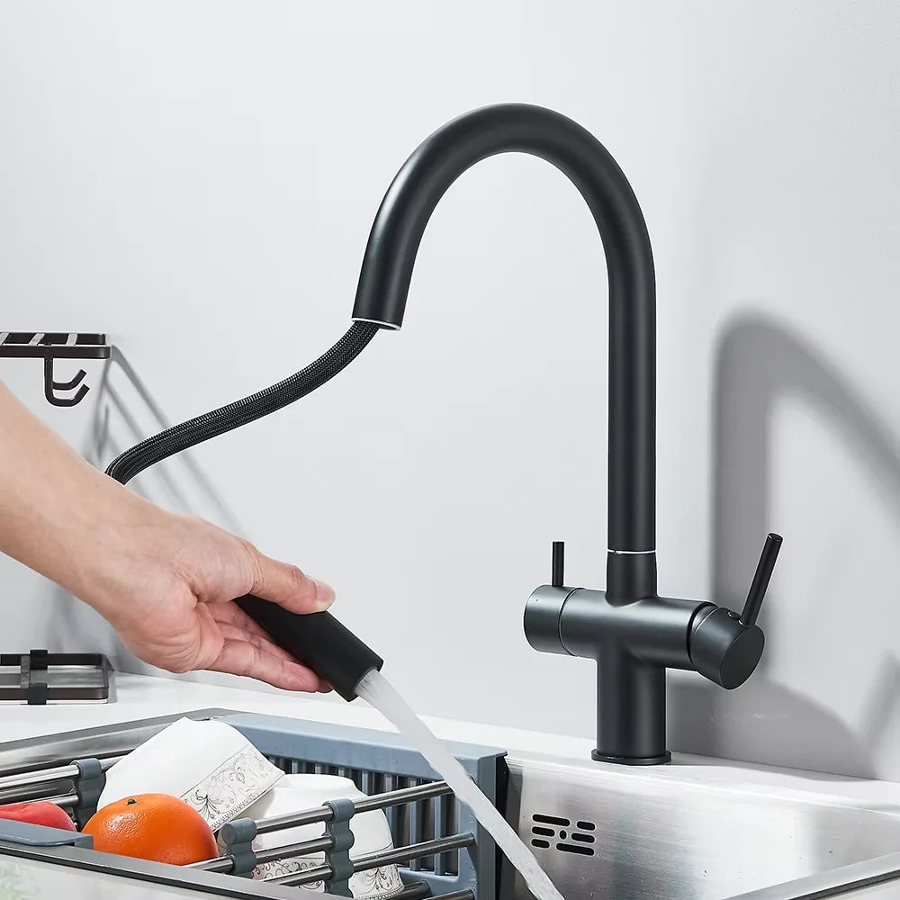 Pure Water Filter Kitchen Faucet Pull Out Flexible Kitchen Faucets Dual Handle Stainless Steel 2 in 1 Hot Cold Water Mixer Tap