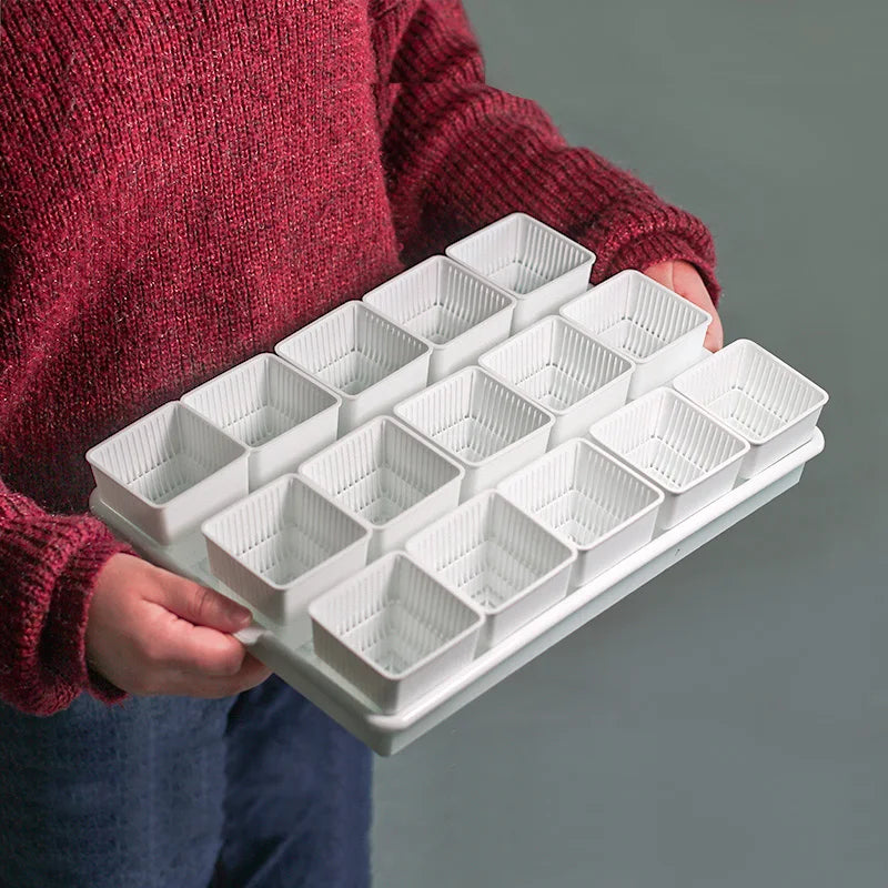 White multi-cell succulent seedling tray with square pots and ridged drainage channel bases